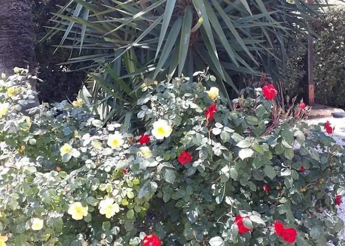 House L'isola Che Non C'e